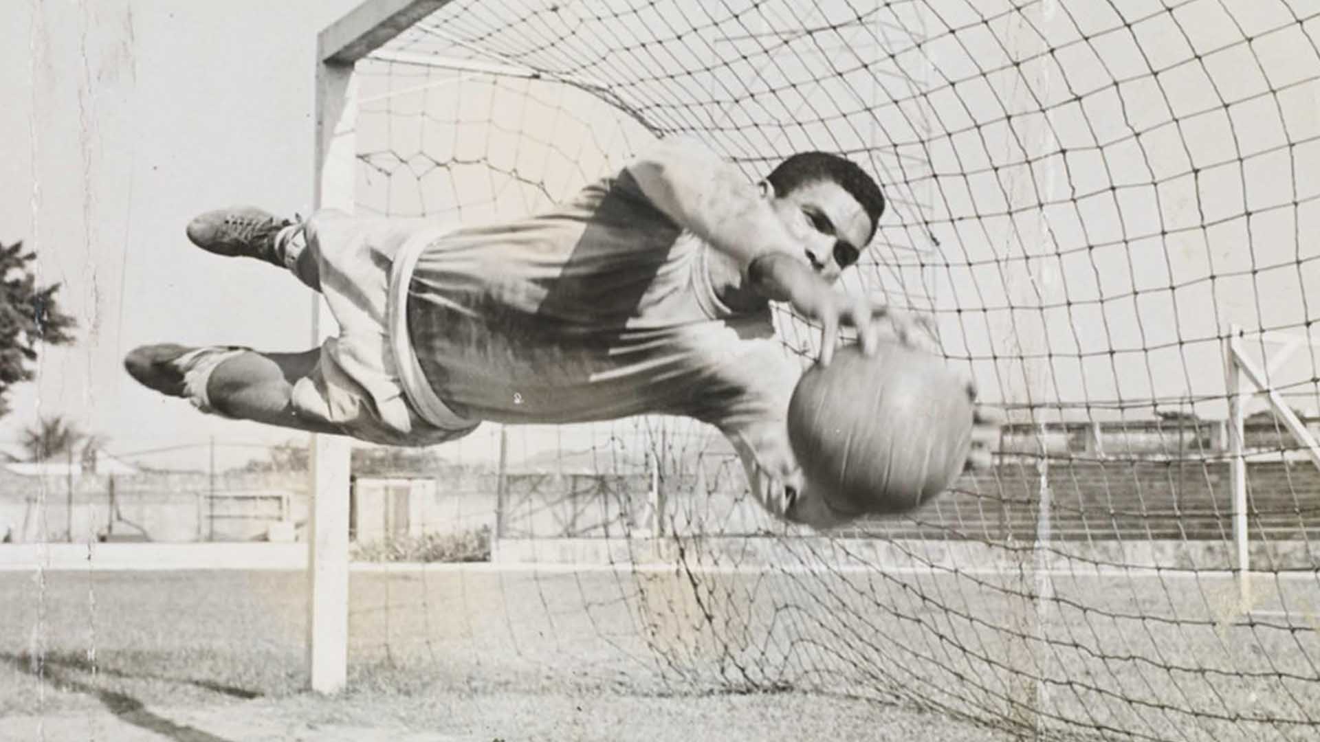 manga goleiro