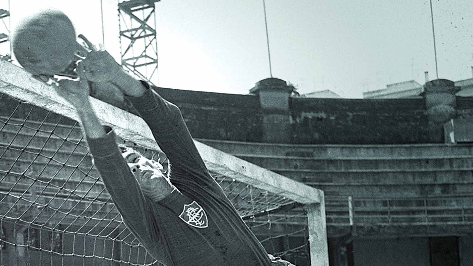melhores goleiros do brasil castilho
