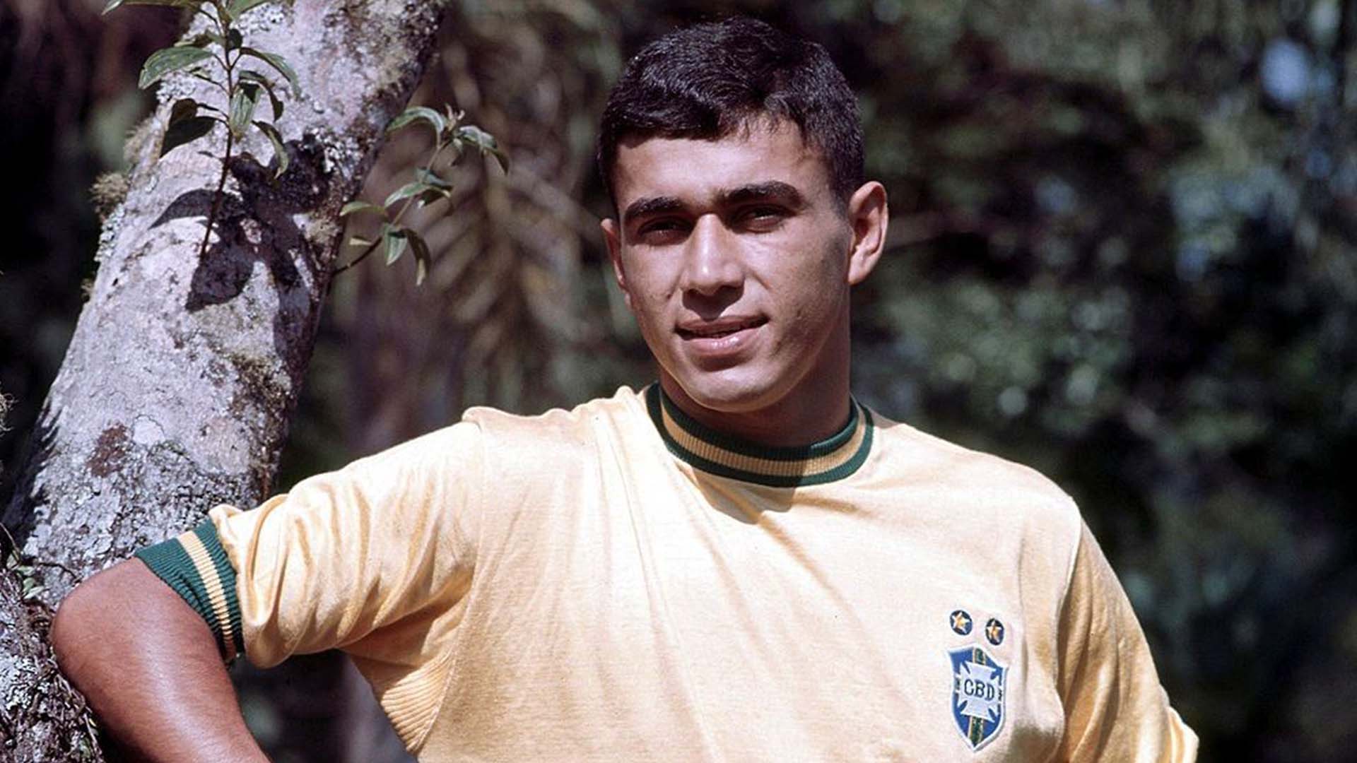 melhores volantes do brasil clodoaldo
