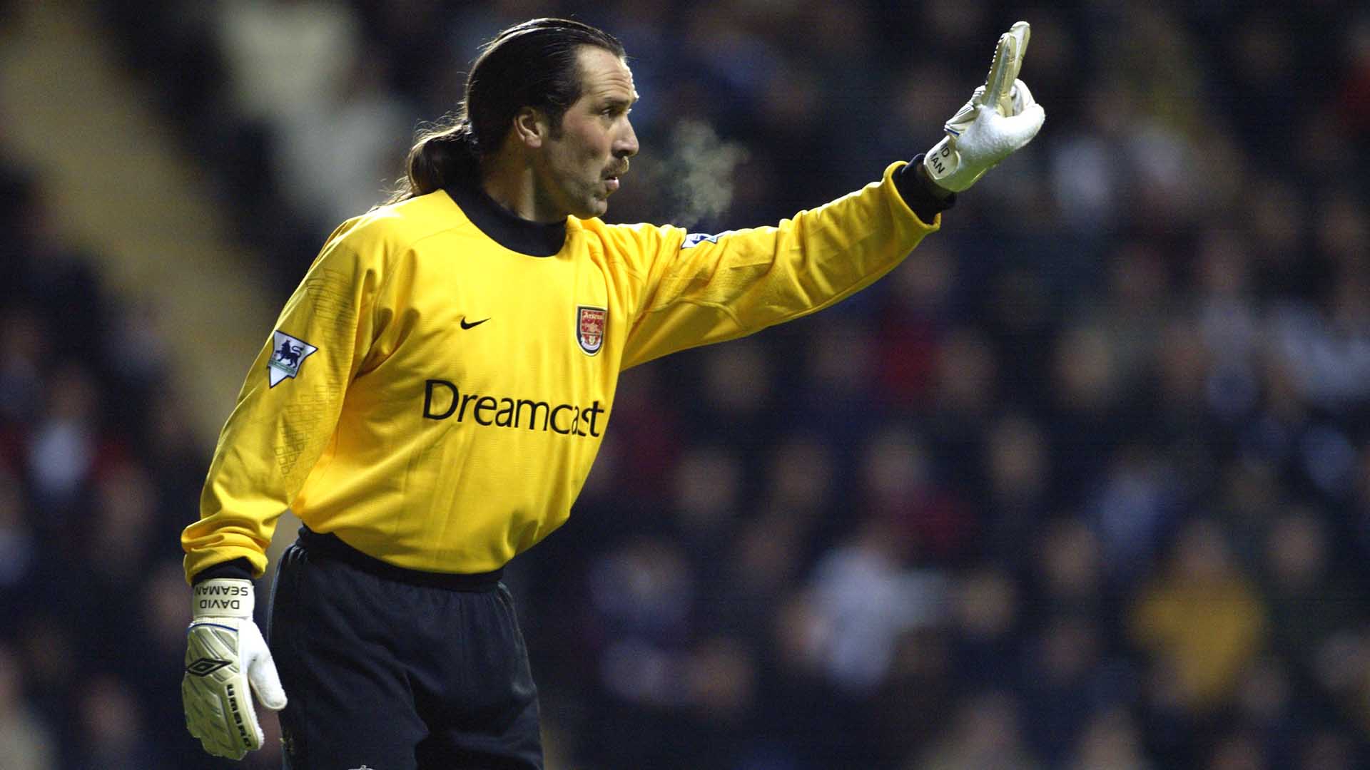 melhores goleiros da inglaterra david seaman