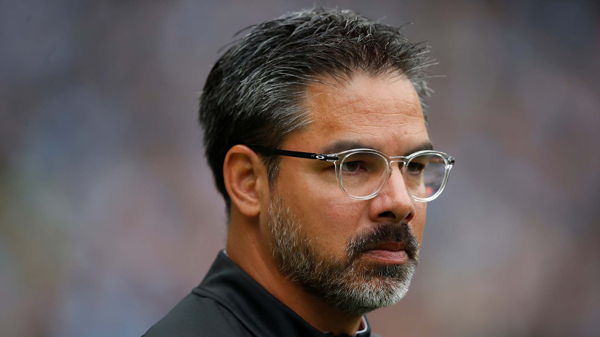 melhores técnicos da alemanha David Wagner