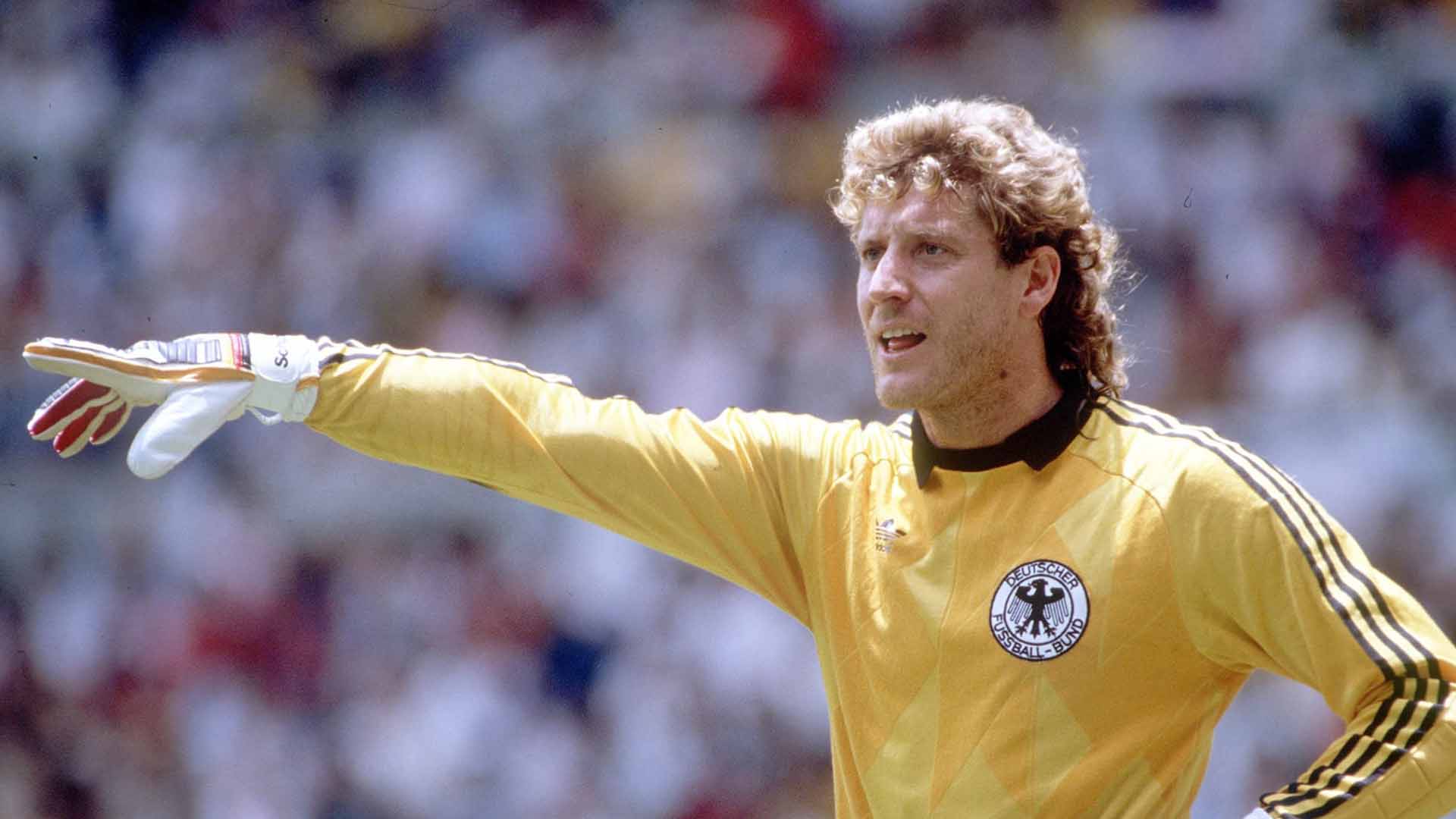 melhores goleiros da alemanha harald schumacher