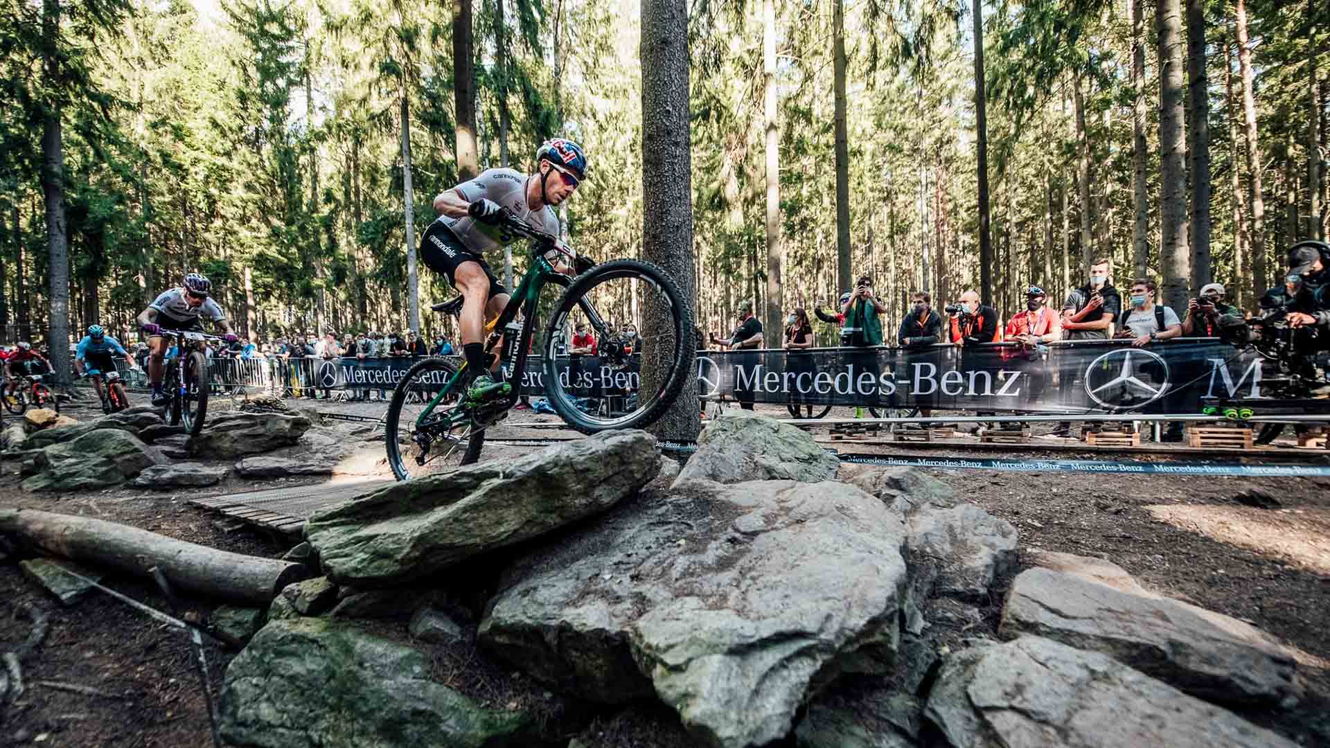 Biografia de Henrique Avancini