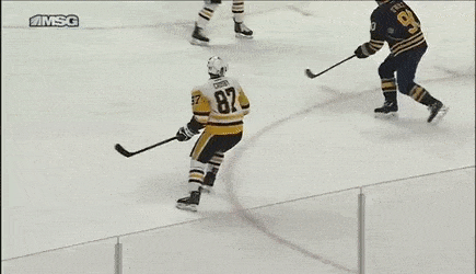 slashing nhl