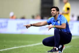 Melhores técnicos do Brasil: top 5 da atualidade e história [2023]