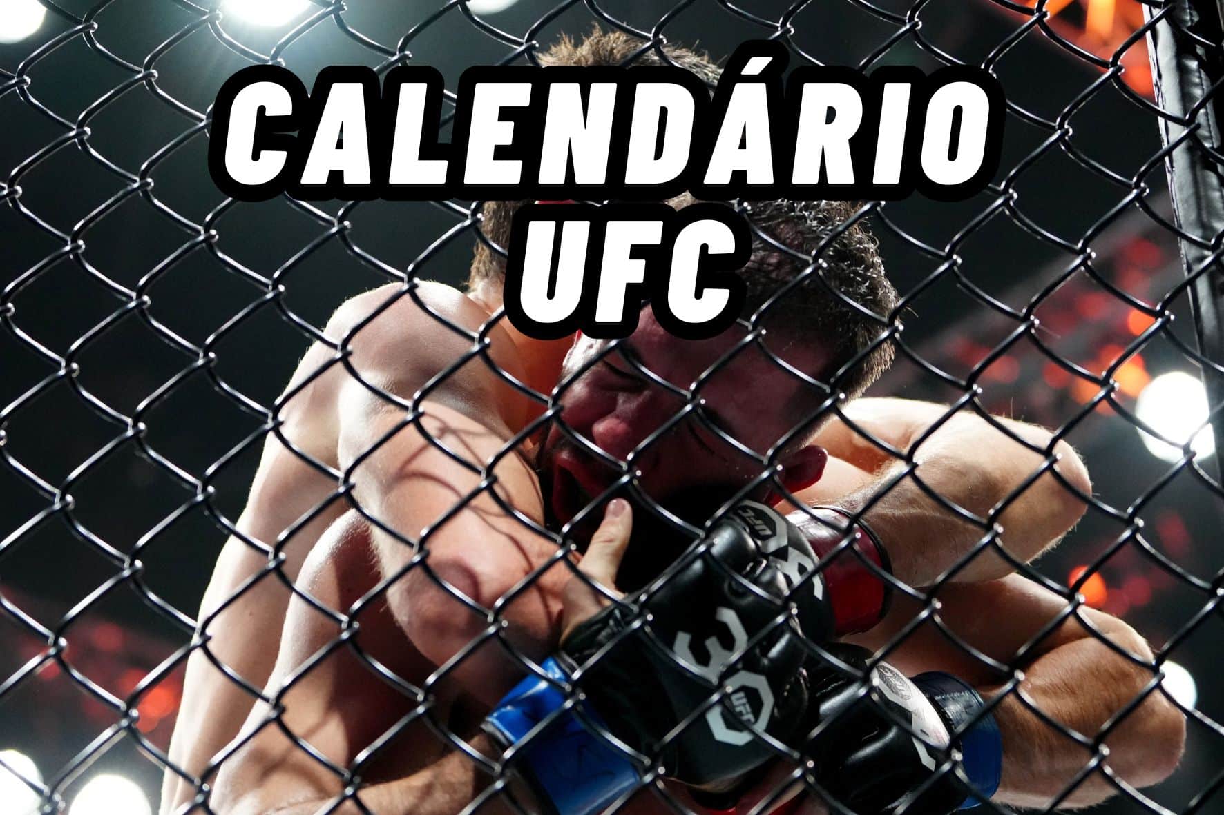 Calendário do UFC 2024
