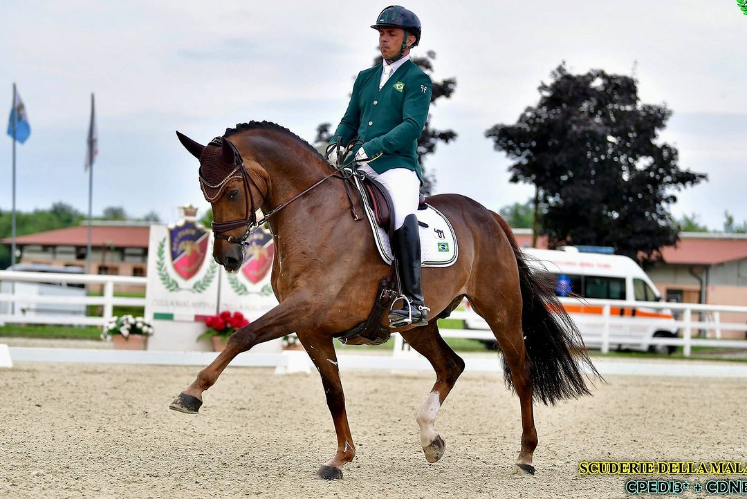 Hipismo paralímpico regras, medalhas e Paris 2024